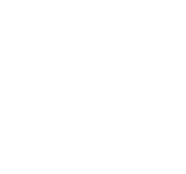 Hjem 9